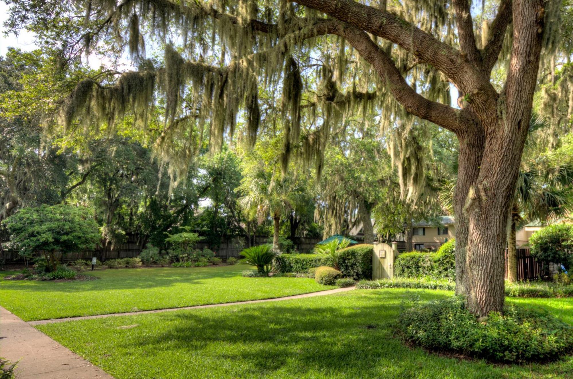Turtle Cove- 2 Bedroom 1 And A Half Bathrooms St. Simons Island Εξωτερικό φωτογραφία